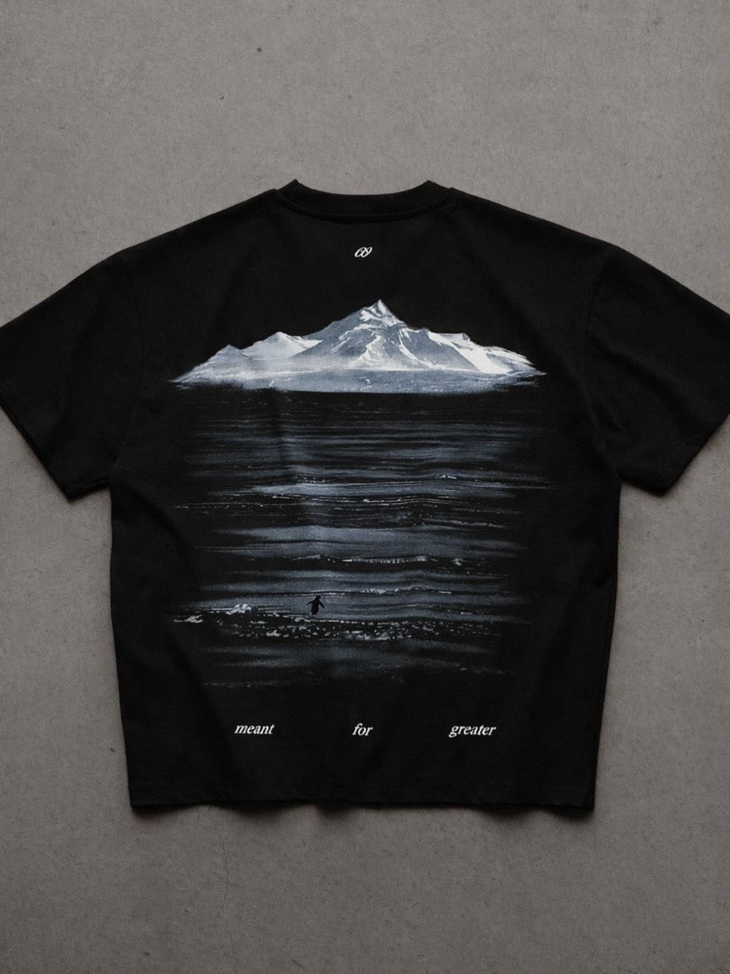 Greater Penguin Boxy T-Shirt