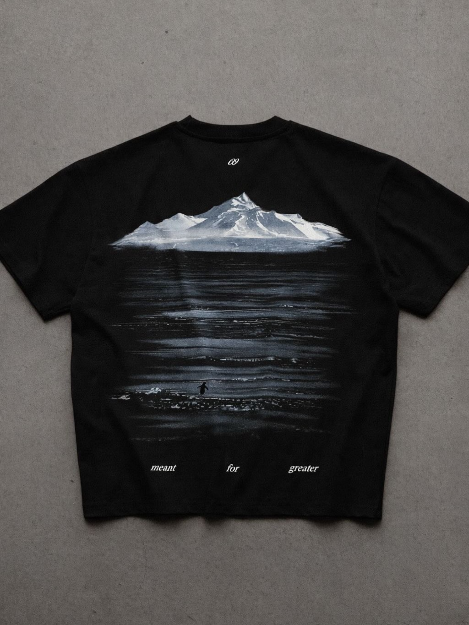 Greater Penguin Boxy T-Shirt