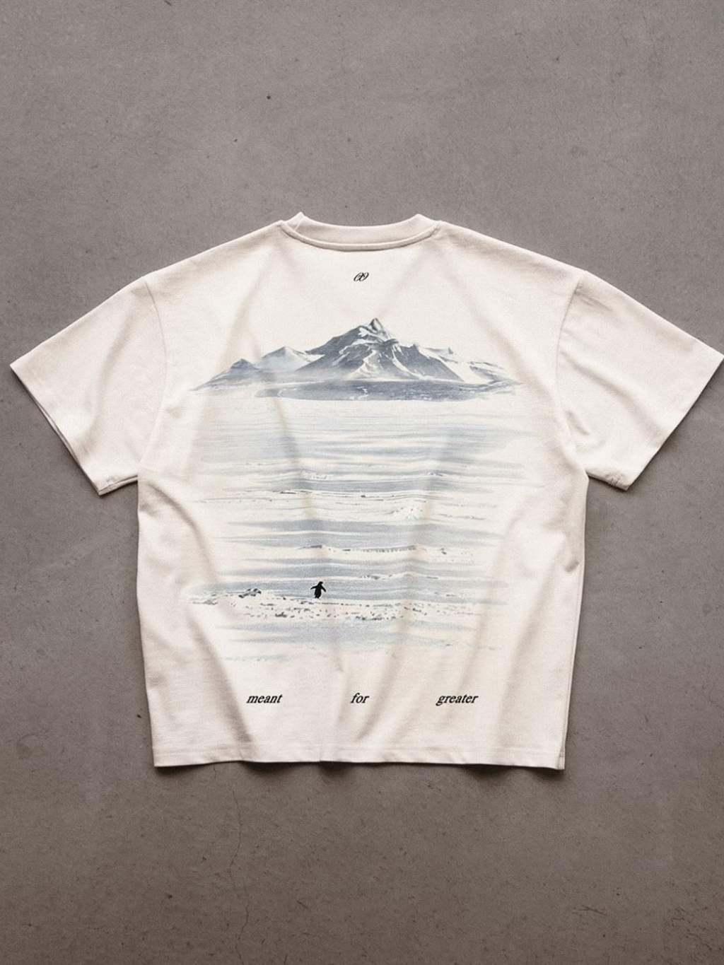 Greater Penguin Boxy T-Shirt